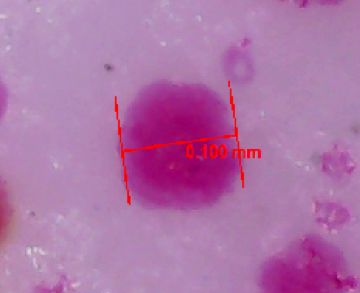 Relationship between ink droplets and curing methods 2